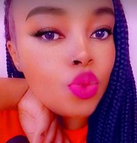 Dohani - puta in Mombasa