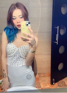 Doja mellow cat - Transsexual escort in Bangalore Photo 30 of 30
