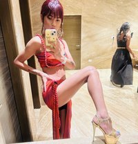 Doja mellow cat - Transsexual escort in Bangalore