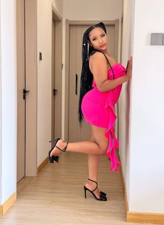 Dollhouse Mamu - Intérprete de adultos in Al Manama Photo 1 of 5