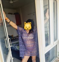 Dolly Malik. Independent girl - escort in Noida