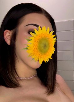 Dom messagedme on telegram @shemale1233 - Acompañantes transexual in Baghdad Photo 1 of 7