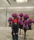 Hot misstres vedii with7.5real n cam - Transsexual escort in New Delhi Photo 13 of 23