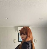Dom Sexycurvy - puta in Taipei