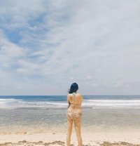 Dom Trans4u - Acompañantes transexual in Netherlands Antilles