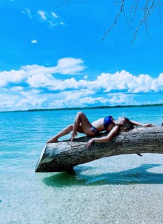 Dom Trans4u - Acompañantes transexual in Netherlands Antilles Photo 9 of 10