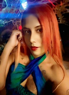 Dometrex Rebecca Queen - Transsexual escort in Candolim, Goa Photo 28 of 30