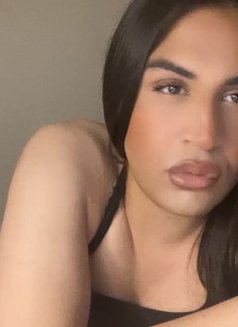 Domi Mimi - Transsexual escort in Bangkok Photo 1 of 1