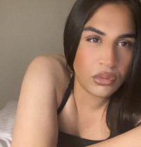 Domi Mimi - Transsexual escort in Bangkok