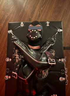 Domina Cora - dominatrix in Hanoi Photo 5 of 12