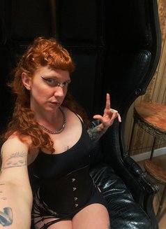Domina D - dominatrix in Bratislava Photo 5 of 6