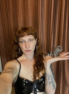 Domina D - dominatrix in Malta Photo 3 of 8