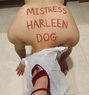 Domina Harleen Kaur Bdsm/femdom Sessions - escort in Bangalore Photo 15 of 15