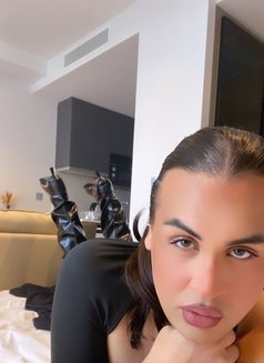 Dominamimi - Transsexual escort in Bangkok Photo 1 of 1