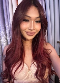 Dominant Miss Solen - Transsexual dominatrix in Manila Photo 6 of 7