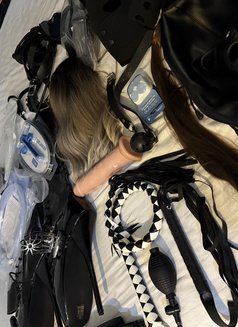 Let’s Party Abuse and HumiliateSISSY🦮🥂 - Transsexual escort in Bangkok Photo 27 of 27