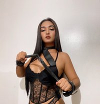 Dominate Ts - Acompañantes transexual in Manila