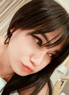 Domination Young LadyBoy Mistress - Transsexual escort in New Delhi Photo 21 of 27