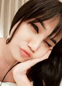 Domination Young LadyBoy Mistress - Transsexual escort in New Delhi Photo 22 of 27