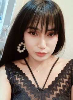 Domination Young LadyBoy Mistress - Transsexual escort in New Delhi Photo 10 of 13