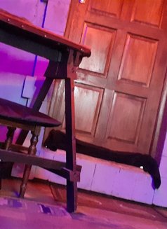 Dominatrix Mistress Gail Z.A - dominatrix in Johannesburg Photo 22 of 22