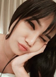 Dominatrix Young LadyBoy Mistress - Transsexual escort in New Delhi Photo 24 of 29