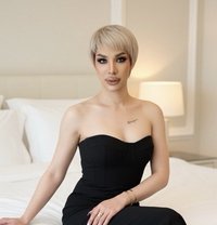 DOMINIC SANTOS - Transsexual escort in Dubai