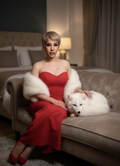 DOMINIC SANTOS - Transsexual escort in Dubai Photo 8 of 8