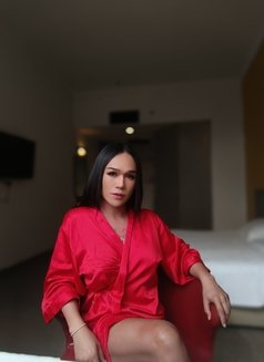 Dominika. NEW Ladyboy BOTH - Acompañantes transexual in Kuala Lumpur Photo 15 of 17