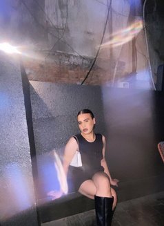 Dommimi - Transsexual escort in Bangkok Photo 1 of 1