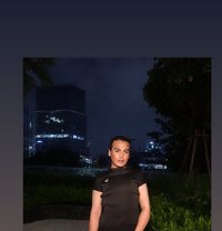 Dommimi - Transsexual dominatrix in Bangkok