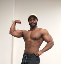 Don Juan - Male escort in Barcelona