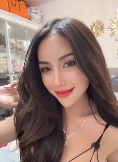Dona69 - Acompañantes transexual in Jakarta Photo 1 of 16