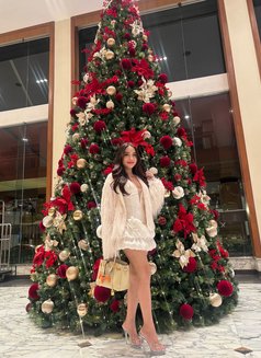 Dona69 - Transsexual escort in Jakarta Photo 20 of 20