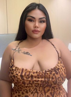 Donat Chubby Girl just arrived jeddha - escort in Jeddah Photo 14 of 15