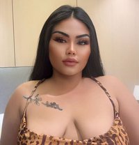 Donat Chubby Girl just arrived - puta in Riyadh