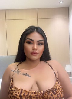 Donat Chubby Girl - escort in Dammam Photo 1 of 13