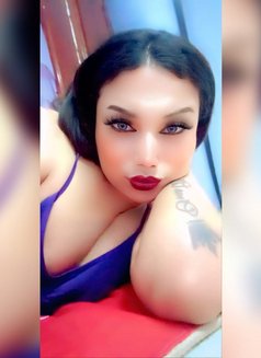 Donia - Acompañantes transexual in Cairo Photo 12 of 22
