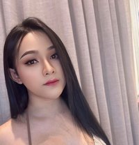 Donut Ladyboy - Transsexual escort in Jeddah