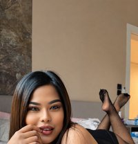 Donut New in Khobar - escort in Khobar