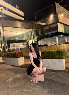 VVIP Donut 🇹🇭 - masseuse in Taipei Photo 9 of 10