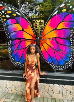 Dove - escort in Al Juffair Photo 2 of 2