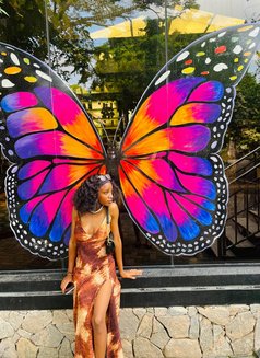 Dove - puta in Al Juffair Photo 3 of 4