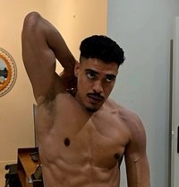 DracoXxL - Male escort in Madrid