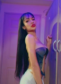 Dream Both Ladyboy - Transsexual escort in Pattaya Photo 12 of 12