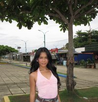 Dream Girl Elai - Acompañantes transexual in Palawan