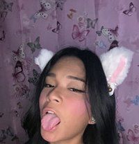 Dream Girl Elai - Acompañantes transexual in Palawan