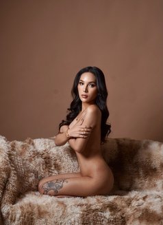 Dream girl Steph (limited days) - escort in Taichung Photo 15 of 18