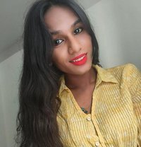 Dream House to Visit for Your Relaxation - Transsexual escort in Chennai