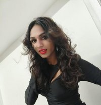 Dream House to Visit for Your Relaxation - Transsexual escort in Chennai
